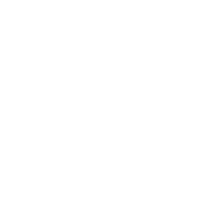 WordPress image