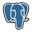 PostgreSQL icon
